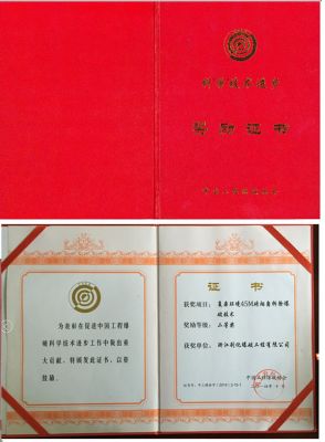 科學(xué)技術(shù)進(jìn)步獎(jiǎng)2等獎(jiǎng)